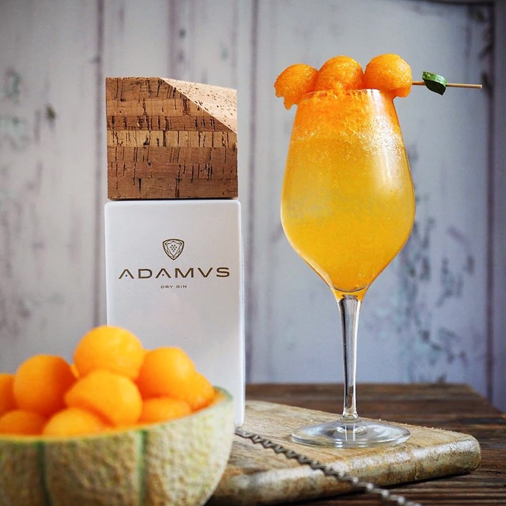 Adamus Portugese Gin - Luxe cadeauset met 2 glazen - 700ml