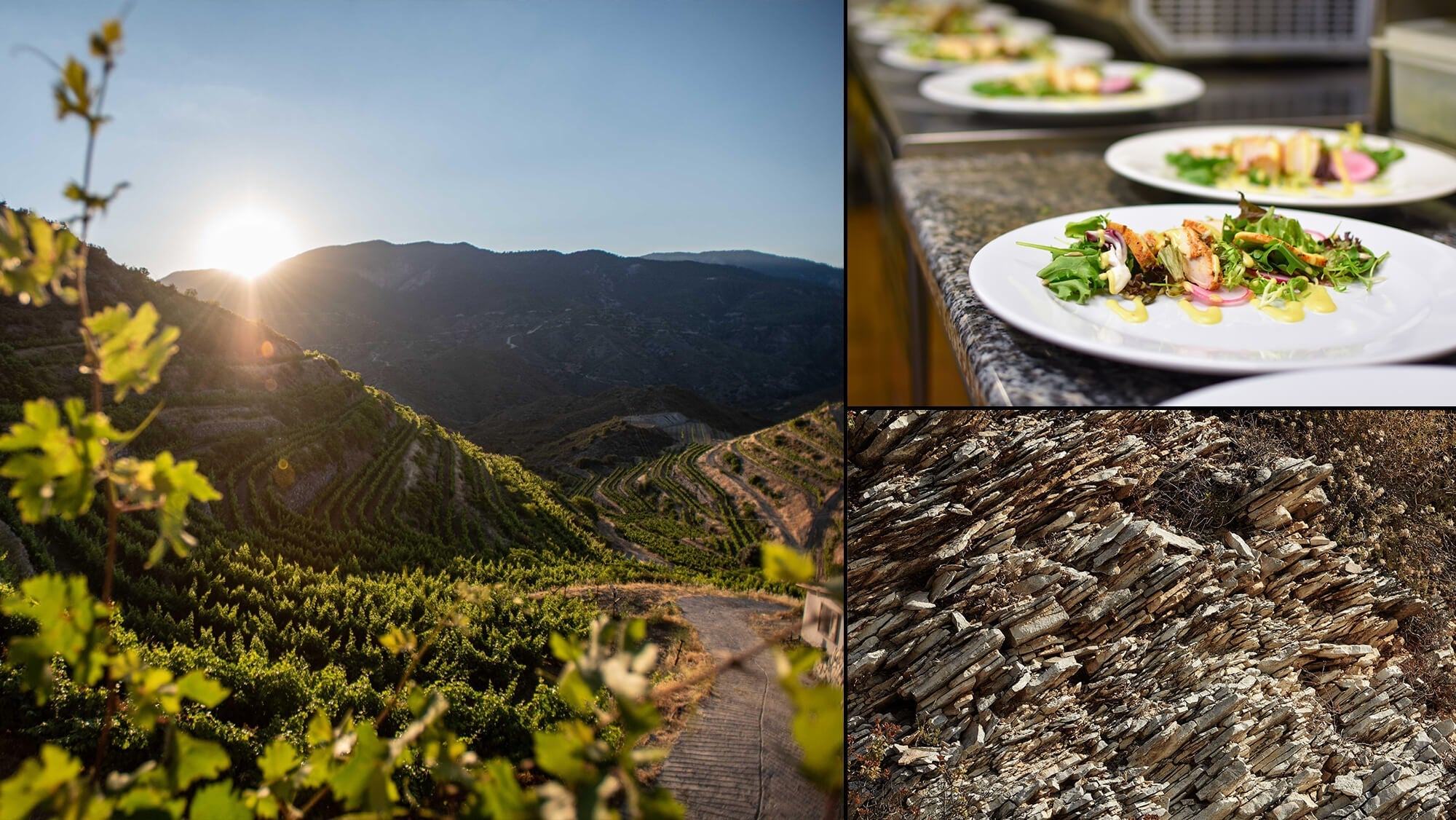 16 Maart 2026 - Wijnproeverij Cyprus @De Griek Hilversum