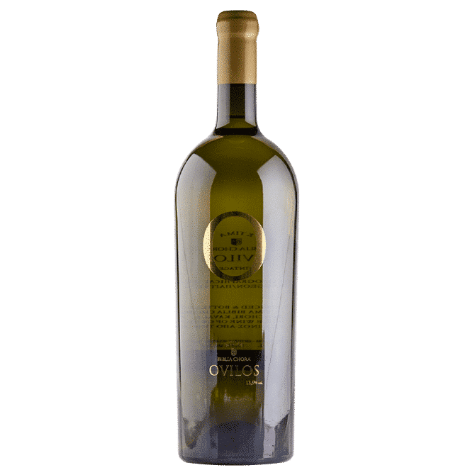 Ovilos White 2023 - Biblia Chora
