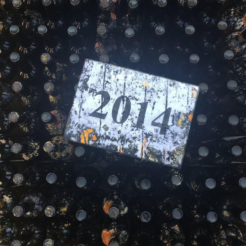 Thalassitis Submerged 2020 - Gaia - Houten kist
