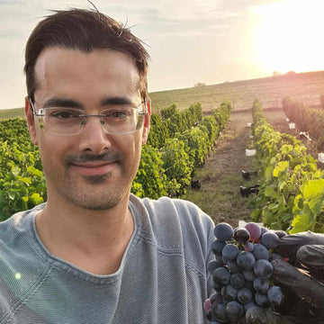 Yiannis van Oenopolis tijdens Syrah oogst @Kitrvs Winery