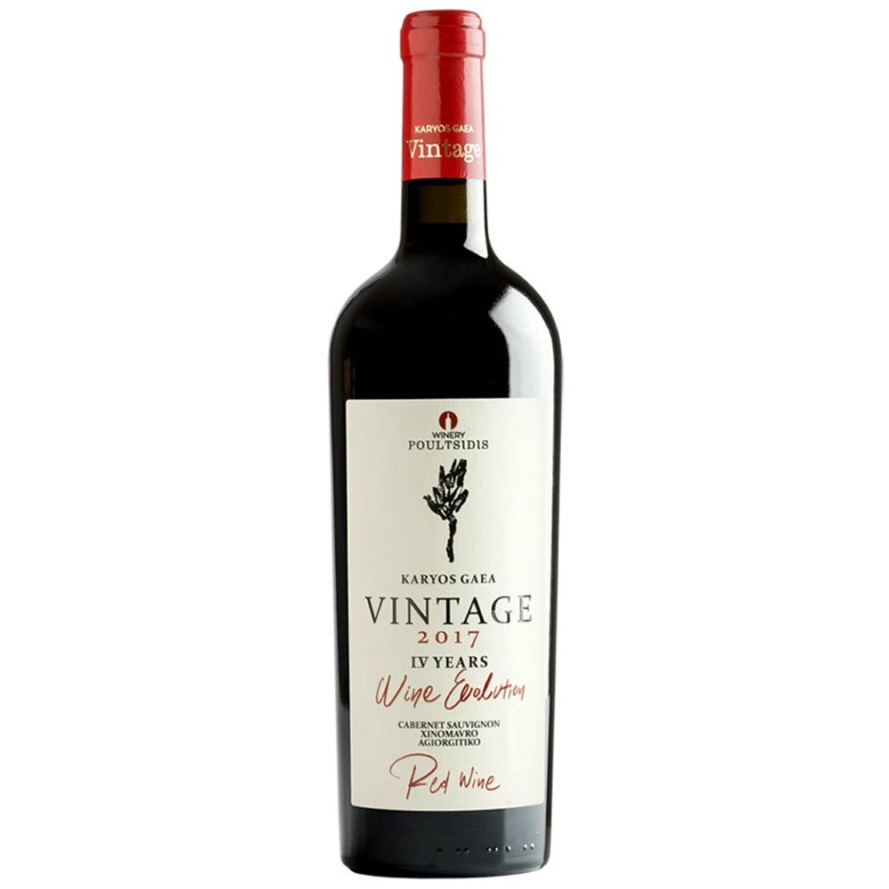 Vintage 2019 - Poultsidis