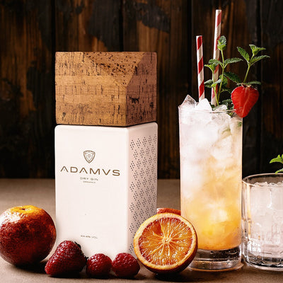 Adamus Portugese Gin - Luxe cadeauset met 2 glazen - 700ml