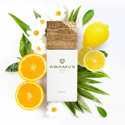 Adamus Portugese Gin - Luxe cadeauset met 2 glazen - 700ml